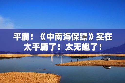 平庸！《中南海保镖》实在太平庸了！太无趣了！