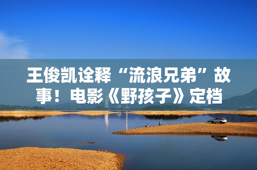 王俊凯诠释“流浪兄弟”故事！电影《野孩子》定档