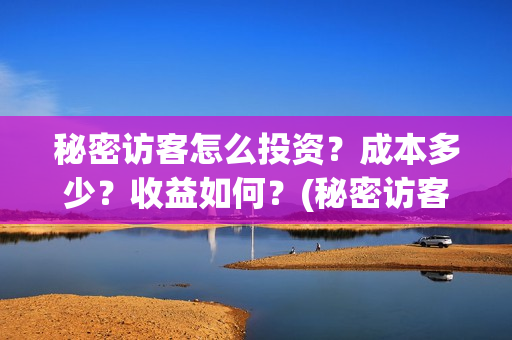 秘密访客怎么投资？成本多少？收益如何？(秘密访客怎么看)