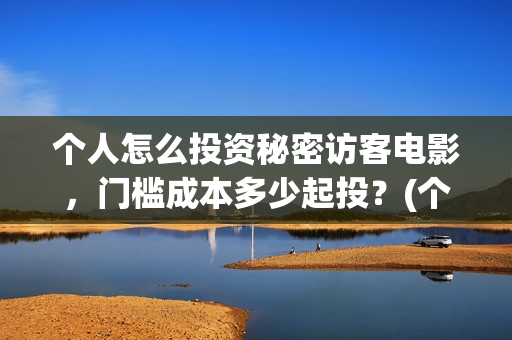 个人怎么投资秘密访客电影，门槛成本多少起投？(个人投资的最佳方式)