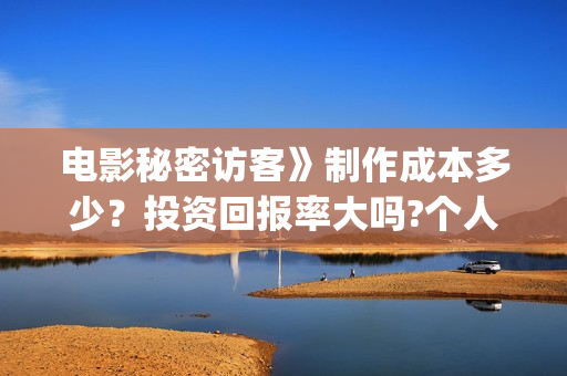 电影秘密访客》制作成本多少？投资回报率大吗?个人投资赚钱吗？(电影秘密访客的内容简介)