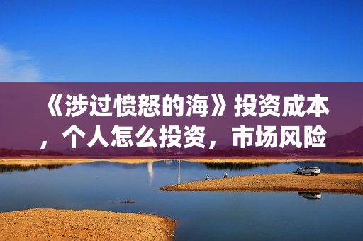 《涉过愤怒的海》投资成本，个人怎么投资，市场风险高吗？(涉过愤怒的海剧情解析)