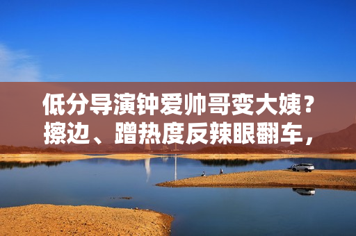 低分导演钟爱帅哥变大姨？擦边、蹭热度反辣眼翻车，网友：太刻意