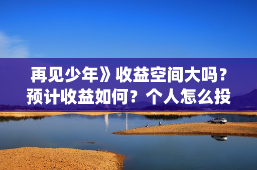 再见少年》收益空间大吗？预计收益如何？个人怎么投资(再见少年总投资是多少)