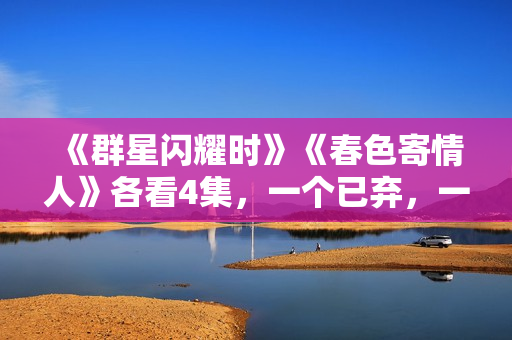 《群星闪耀时》《春色寄情人》各看4集，一个已弃，一个看上瘾