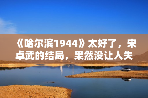 《哈尔滨1944》太好了，宋卓武的结局，果然没让人失望