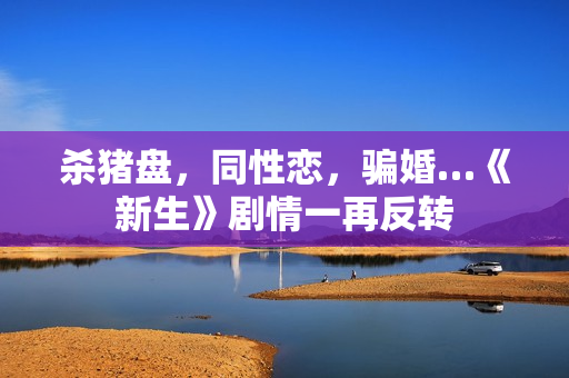 杀猪盘，同性恋，骗婚…《新生》剧情一再反转