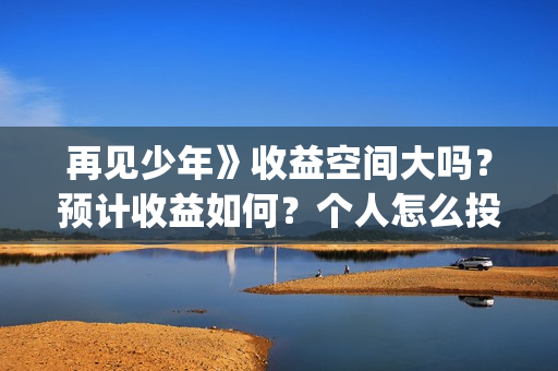 再见少年》收益空间大吗？预计收益如何？个人怎么投资(再见少年有彩蛋吗)