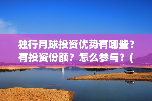 独行月球投资优势有哪些？有投资份额？怎么参与？(独行月球什么时候上映)