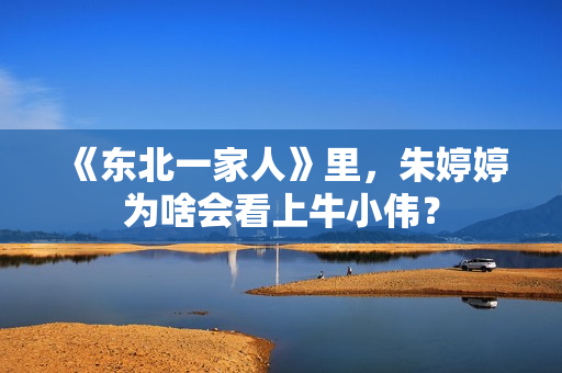 《东北一家人》里，朱婷婷为啥会看上牛小伟？