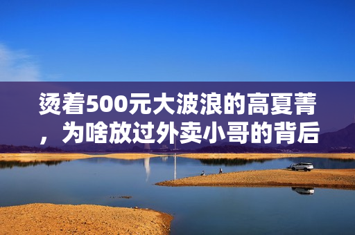 烫着500元大波浪的高夏菁，为啥放过外卖小哥的背后全是算计？