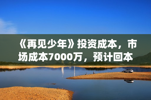 《再见少年》投资成本，市场成本7000万，预计回本多少？(电影再见少年投资)
