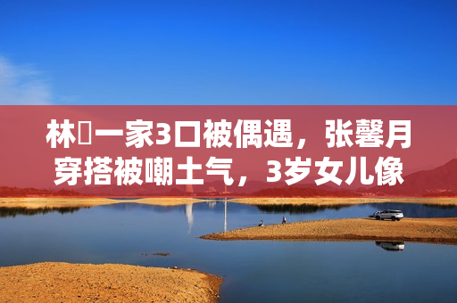 林峯一家3口被偶遇，张馨月穿搭被嘲土气，3岁女儿像爸爸