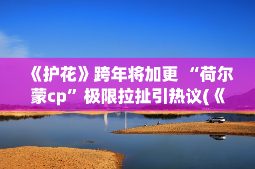 《护花》跨年将加更 “荷尔蒙cp”极限拉扯引热议(《护花使者》演唱视频)