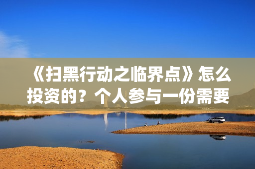 《扫黑行动之临界点》怎么投资的？个人参与一份需要多少成本？定档了吗？(扫黑行动第一集)