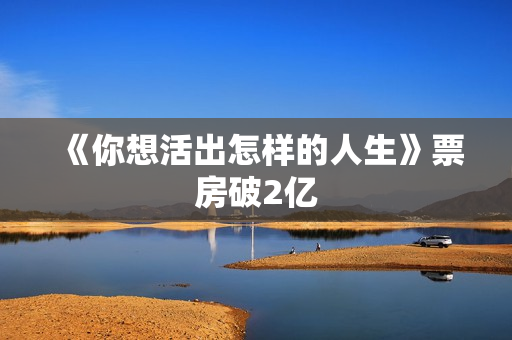 《你想活出怎样的人生》票房破2亿