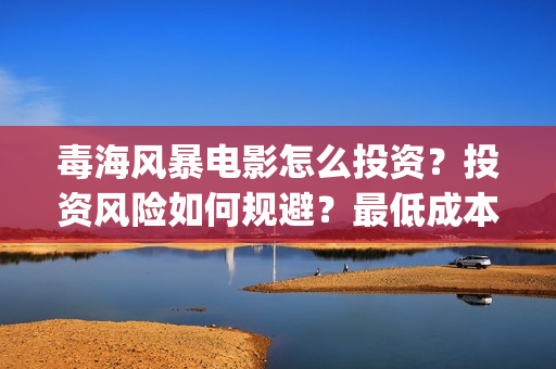毒海风暴电影怎么投资？投资风险如何规避？最低成本多少？(毒海风暴上映时间)