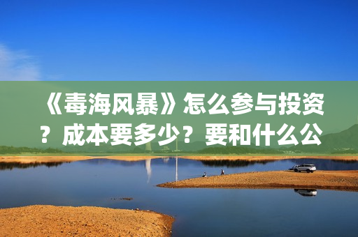 《毒海风暴》怎么参与投资？成本要多少？要和什么公司签？(毒海风暴成本)
