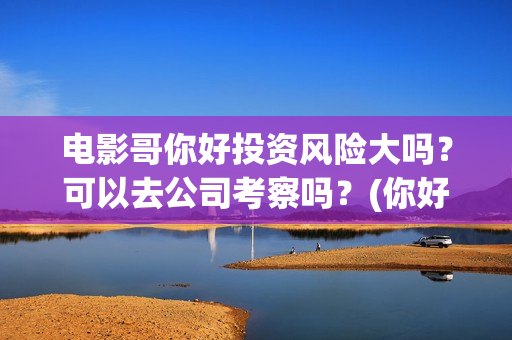 电影哥你好投资风险大吗？可以去公司考察吗？(你好哥哥)
