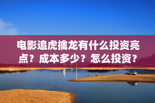 电影追虎擒龙有什么投资亮点？成本多少？怎么投资？(电影:追虎擒龙)