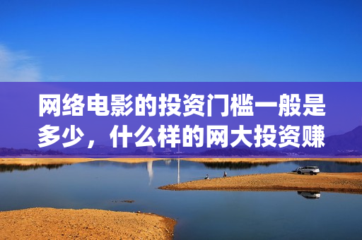 网络电影的投资门槛一般是多少，什么样的网大投资赚钱(网络电影投资风险评估)