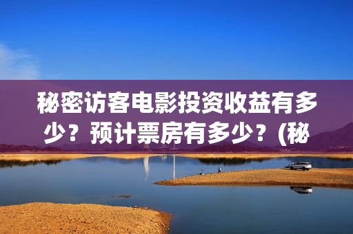 秘密访客电影投资收益有多少？预计票房有多少？(秘密访客1080p)