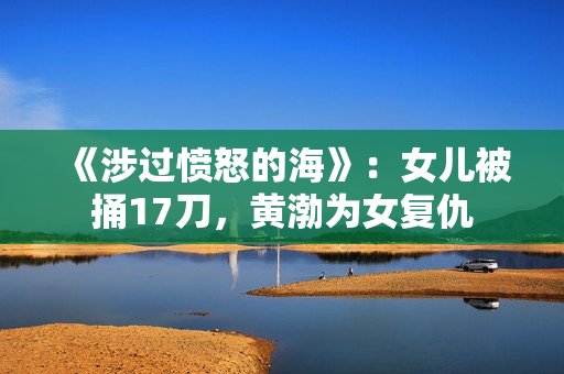 《涉过愤怒的海》：女儿被捅17刀，黄渤为女复仇