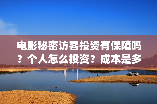 电影秘密访客投资有保障吗？个人怎么投资？成本是多少？(秘密访客电影票)