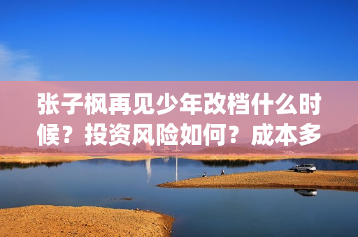 张子枫再见少年改档什么时候？投资风险如何？成本多少？(张子枫再见少年图片)