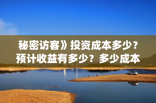 秘密访客》投资成本多少？预计收益有多少？多少成本？(秘密访客演什么)