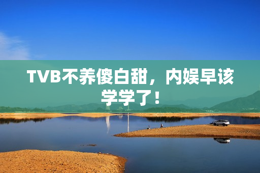TVB不养傻白甜，内娱早该学学了！