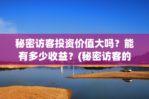 秘密访客投资价值大吗？能有多少收益？(秘密访客的票价)