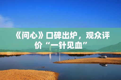 《问心》口碑出炉，观众评价“一针见血”