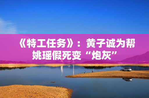 《特工任务》：黄子诚为帮姚瑶假死变“炮灰”