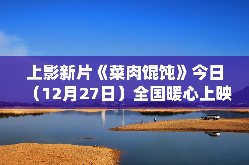 上影新片《菜肉馄饨》今日（12月27日）全国暖心上映 岁末银幕内外共度情感暖冬(上海肉菜图片大全)