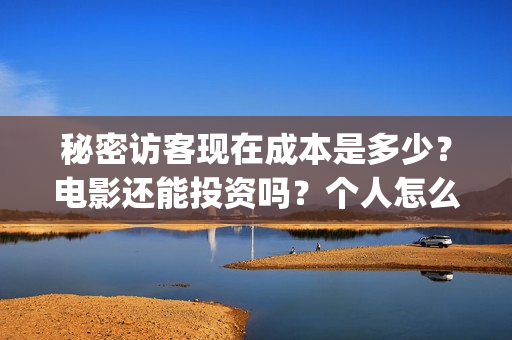 秘密访客现在成本是多少？电影还能投资吗？个人怎么参与？(秘密访客好吓人)