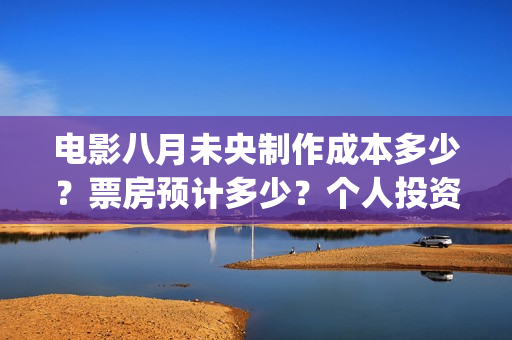 电影八月未央制作成本多少？票房预计多少？个人投资份额真实吗？(电影八月未央制片人是谁)