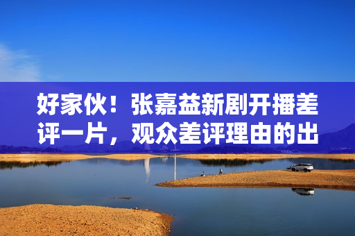 好家伙！张嘉益新剧开播差评一片，观众差评理由的出奇一致
