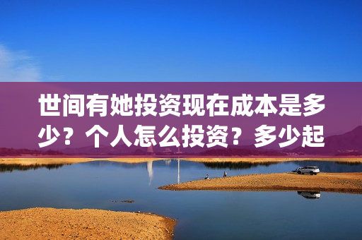 世间有她投资现在成本是多少？个人怎么投资？多少起投？(世间有她出品公司)