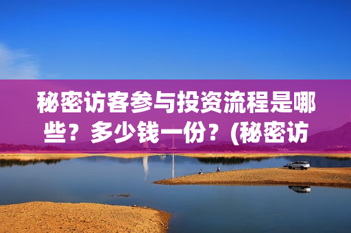秘密访客参与投资流程是哪些？多少钱一份？(秘密访客参与公司)