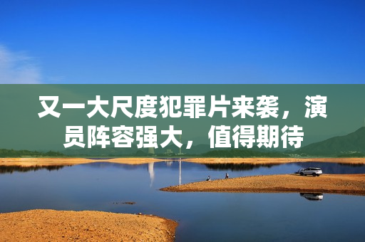 又一大尺度犯罪片来袭，演员阵容强大，值得期待