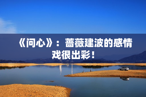 《问心》：蔷薇建波的感情戏很出彩！