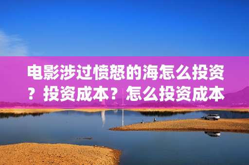 电影涉过愤怒的海怎么投资？投资成本？怎么投资成本？(电影涉过愤怒的海讲了什么)