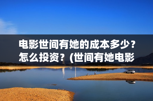 电影世间有她的成本多少？怎么投资？(世间有她电影现在什么情况)