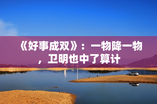 《好事成双》：一物降一物，卫明也中了算计