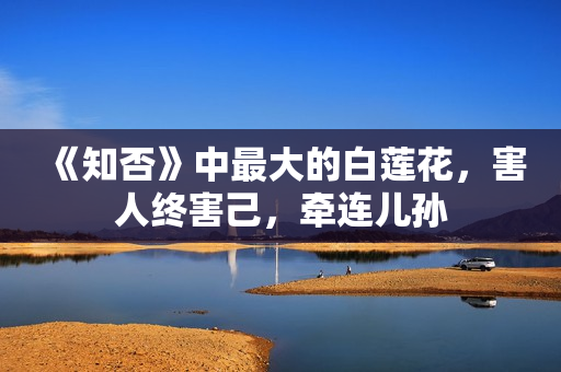《知否》中最大的白莲花，害人终害己，牵连儿孙