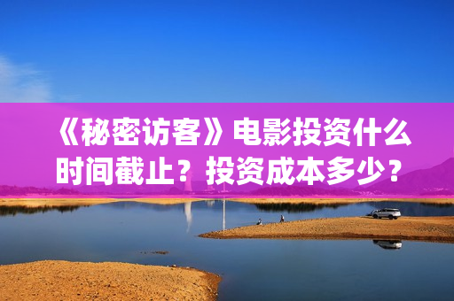 《秘密访客》电影投资什么时间截止？投资成本多少？(秘密访客完整电影)
