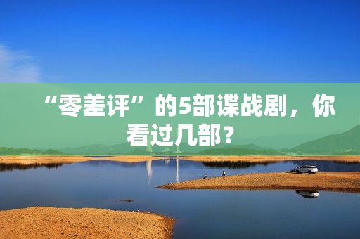 “零差评”的5部谍战剧，你看过几部？