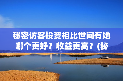 秘密访客投资相比世间有她哪个更好？收益更高？(秘密访客总投资)