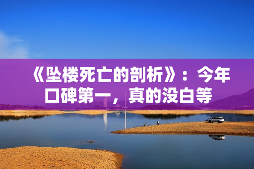 《坠楼死亡的剖析》：今年口碑第一，真的没白等